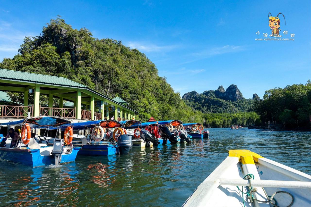 Jelajahi Ekosistem Mangrove yang Menakjubkan di Mangrove Tour Langkawi